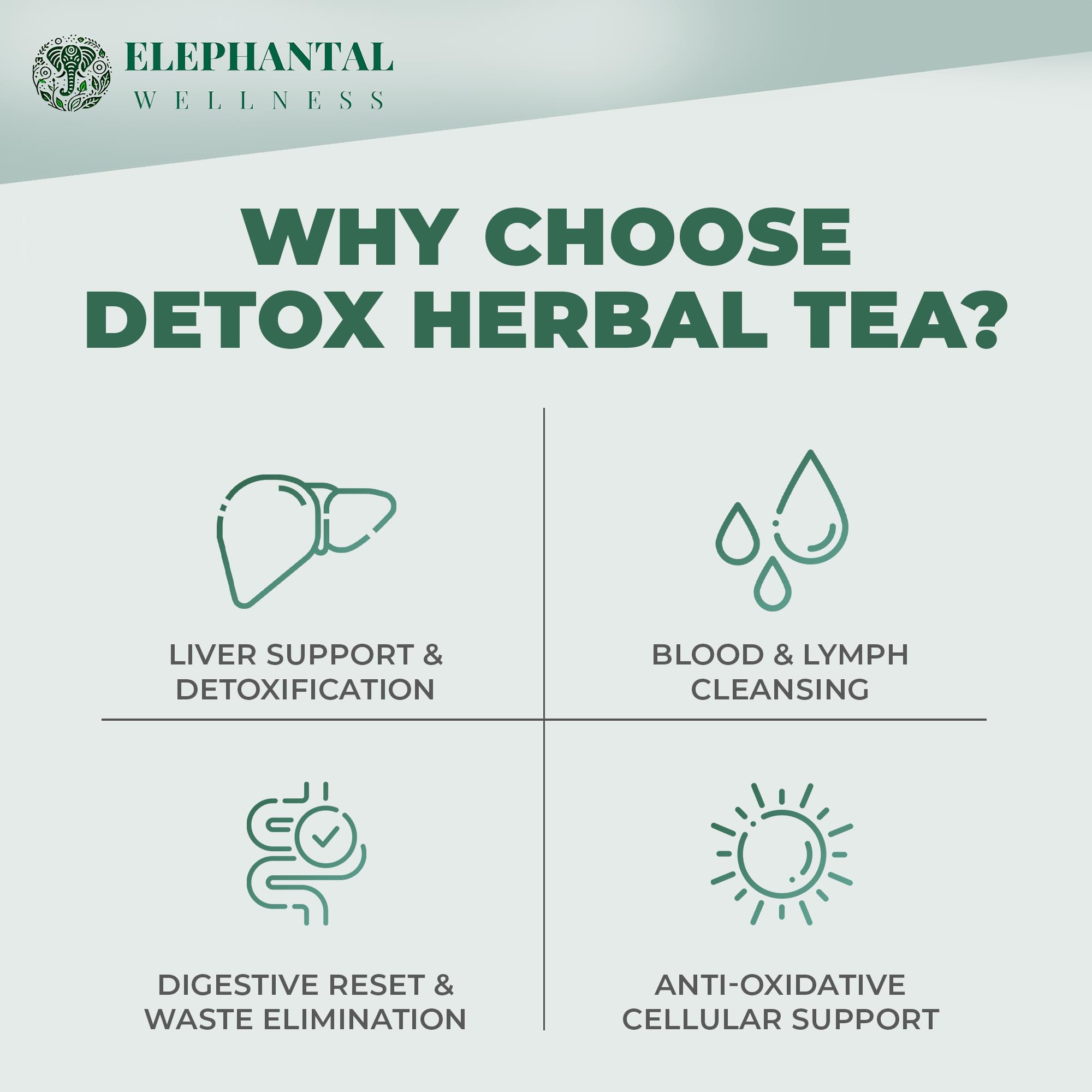 Elephantal Wellness tea being poured from teapot highlighting warm infusion