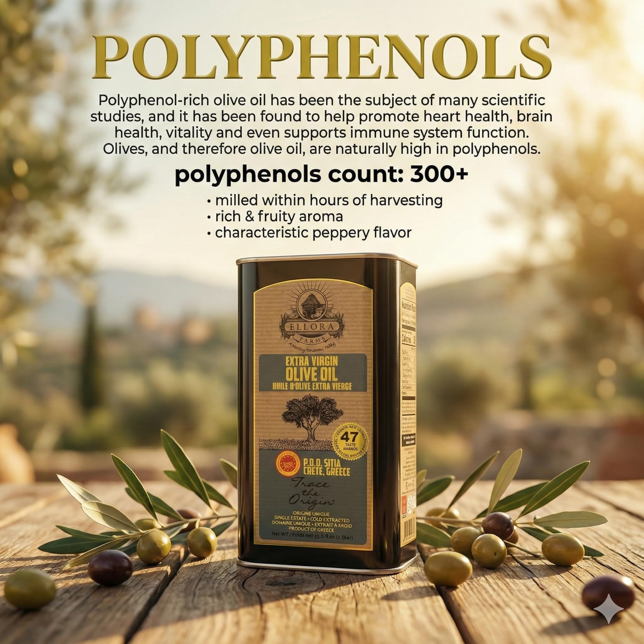Ellora Farms olive grove in Sitia Crete showing single-estate provenance benefits