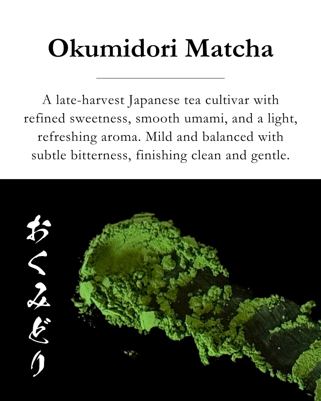 EMPTEA matcha latte in bowl with froth, demonstrating creamy texture and balanced flavor
