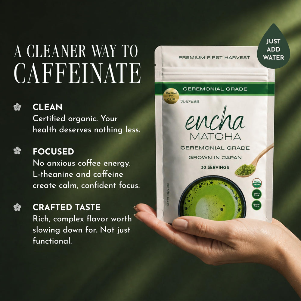 Encha matcha in morning ritual scene showing calm focused energy benefit