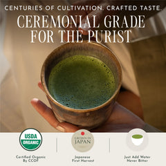 Encha matcha whisked in bowl with froth showing creamy mouthfeel benefit