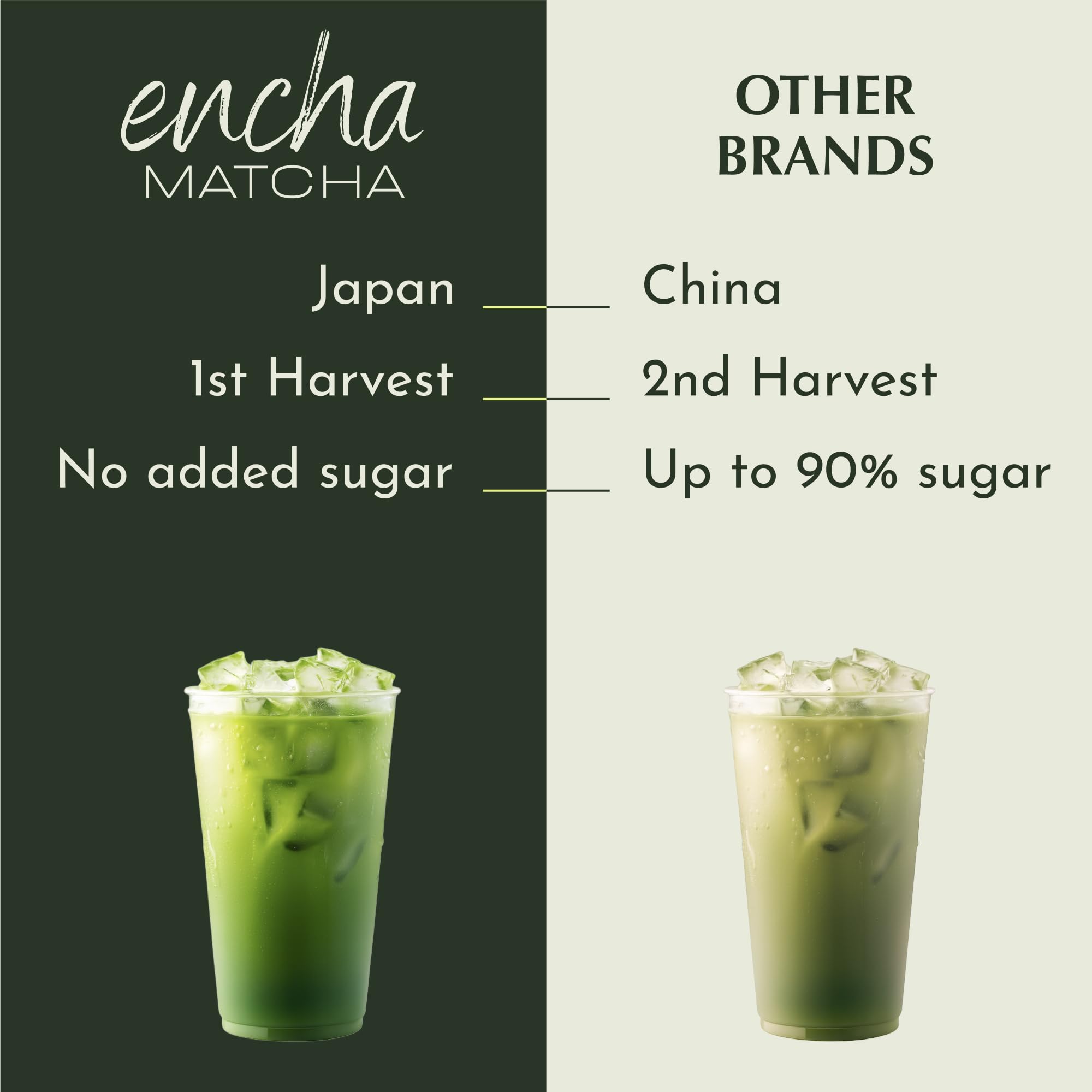 Encha matcha spoon beside 150g tin for scale, helping visualize portion and serving size