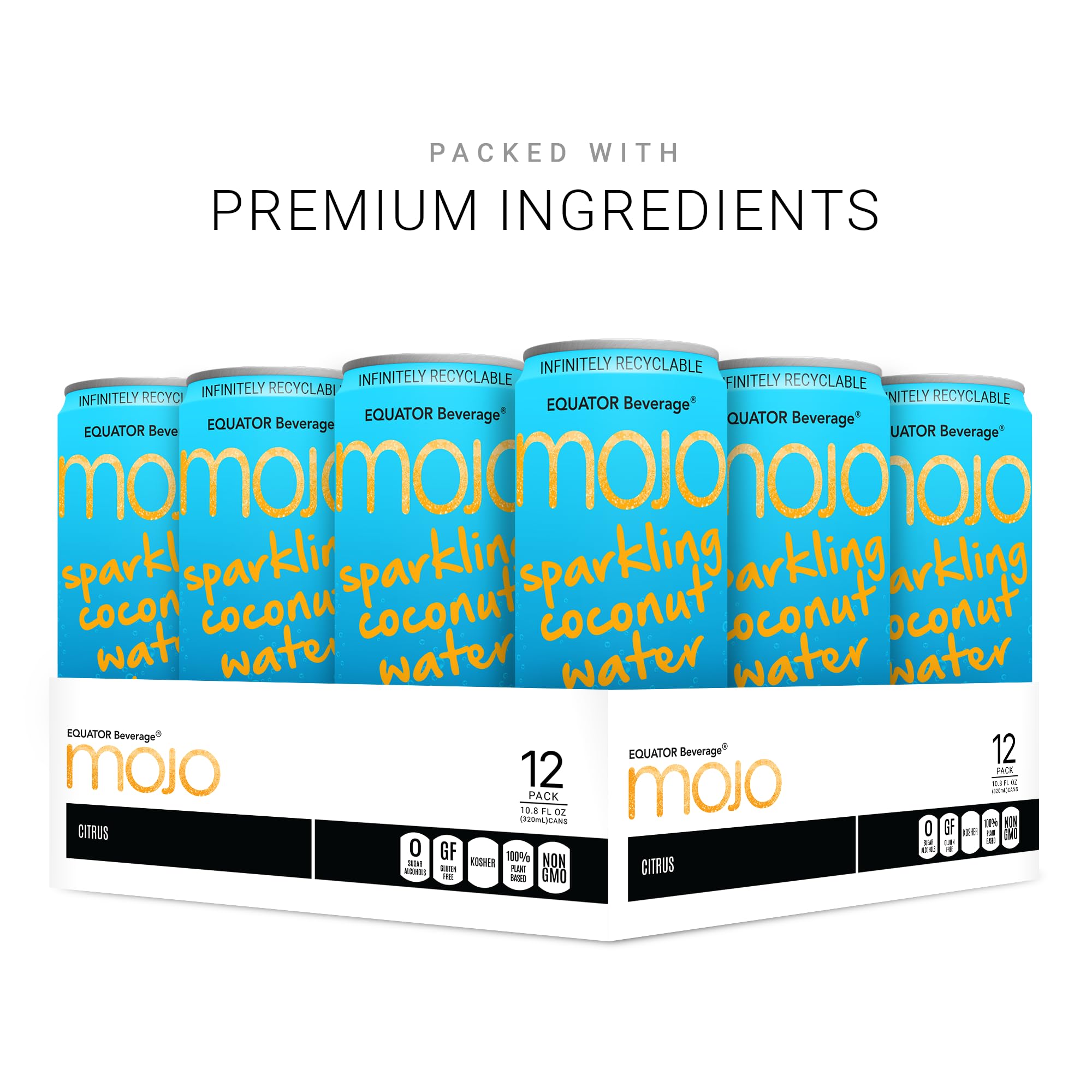 EQUATOR MOJO close-up can top with pull tab highlighting portability and convenience