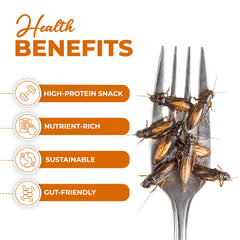 Erbies served on salad to add protein and crunchy barbecue seasoning contrast