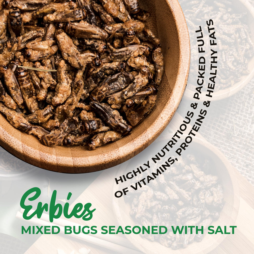 Erbies close-up texture of seasoned insects highlighting crunchy coating and flavor