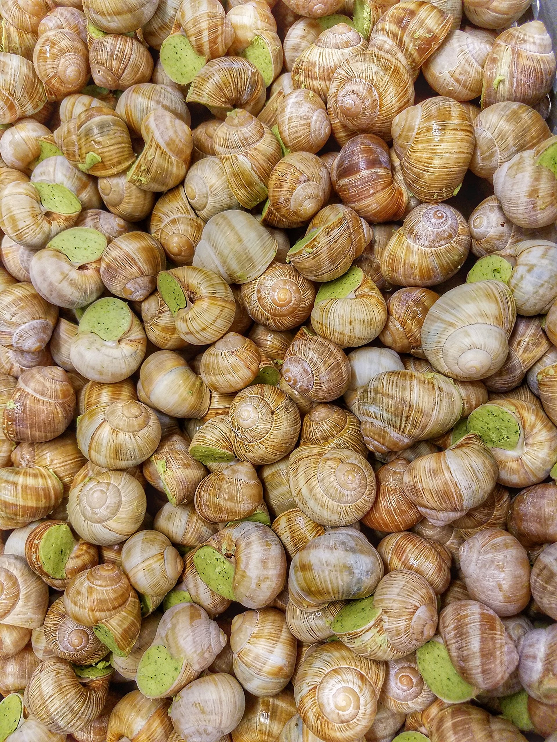 Escargots de Bourgogne Sauvages product label and origin information proving authentic Burgundy source