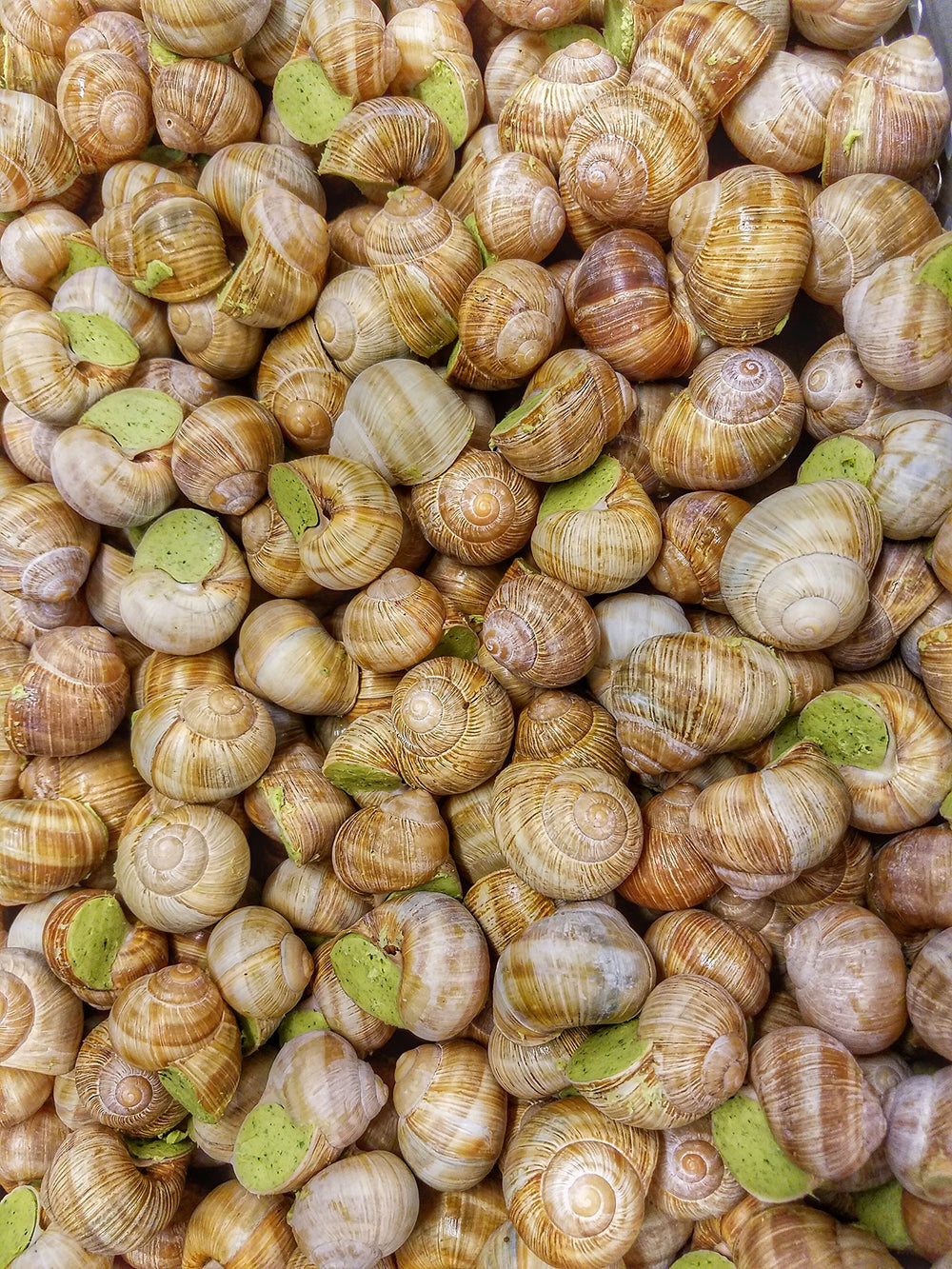 Escargots de Bourgogne Sauvages product label and origin information proving authentic Burgundy source