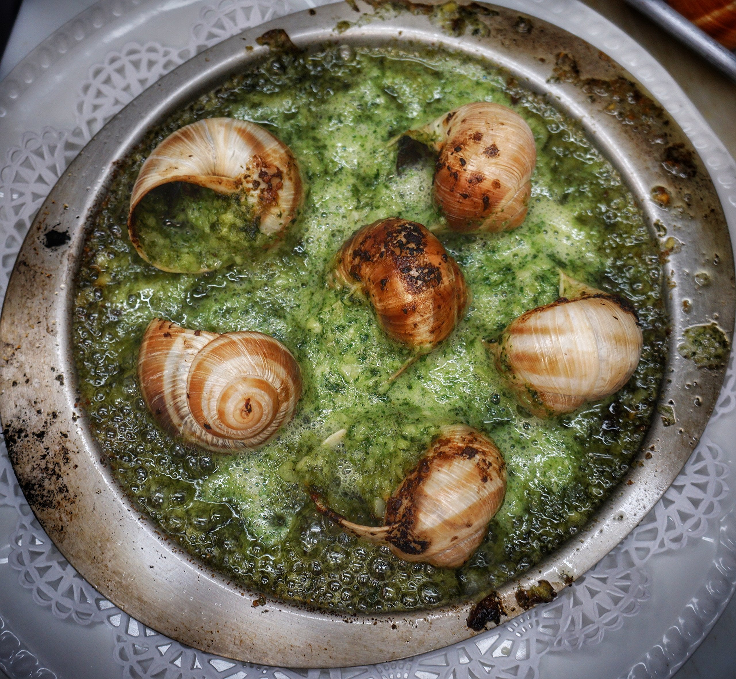 Escargots de Bourgogne Sauvages served at a dining table illustrating gourmet presentation benefit
