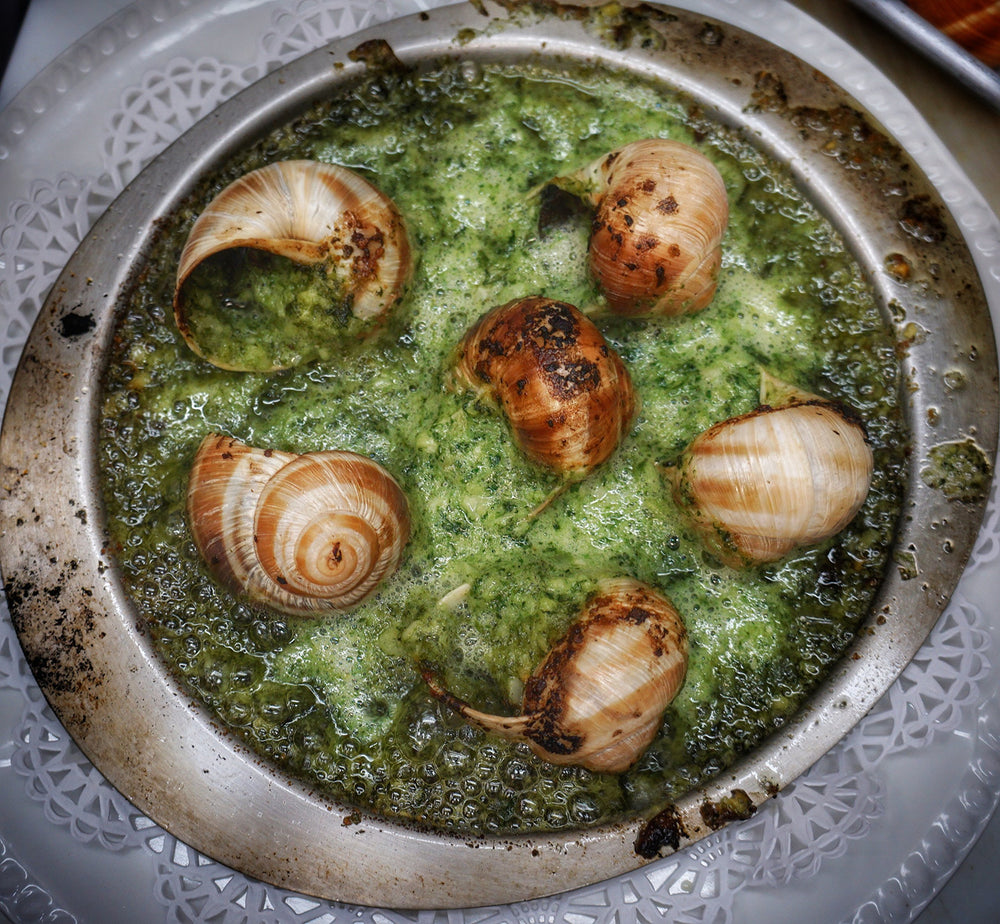 Escargots de Bourgogne Sauvages served at a dining table illustrating gourmet presentation benefit
