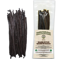 ESSENCE FOOD & BEVERAGE close-up of moist vanilla pod texture revealing rich oils