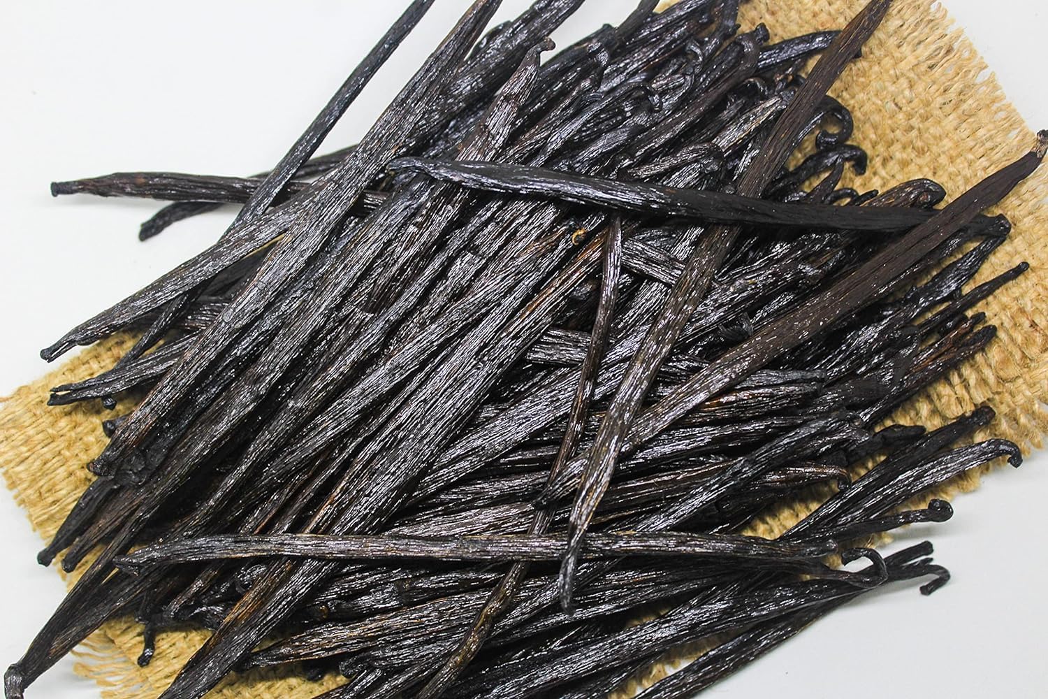 Close-up of ESSENCE vanilla bean pod texture highlighting plumpness and visible oil for richer flavor
