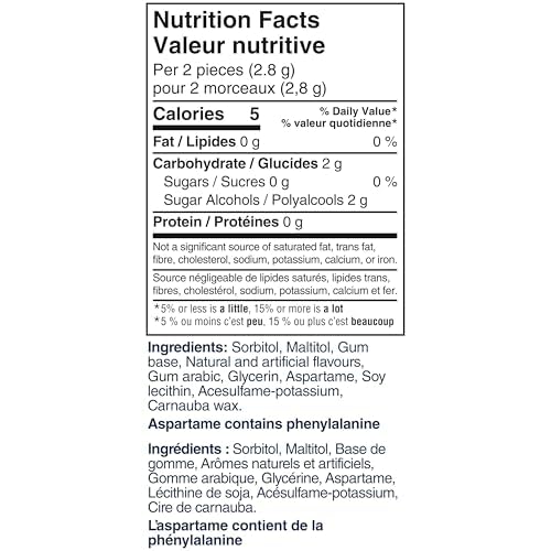 Excel Polar Ice gum piece close-up highlighting smooth sugar-free texture and cooling effect