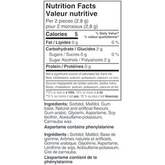 Excel Polar Ice gum piece close-up highlighting smooth sugar-free texture and cooling effect