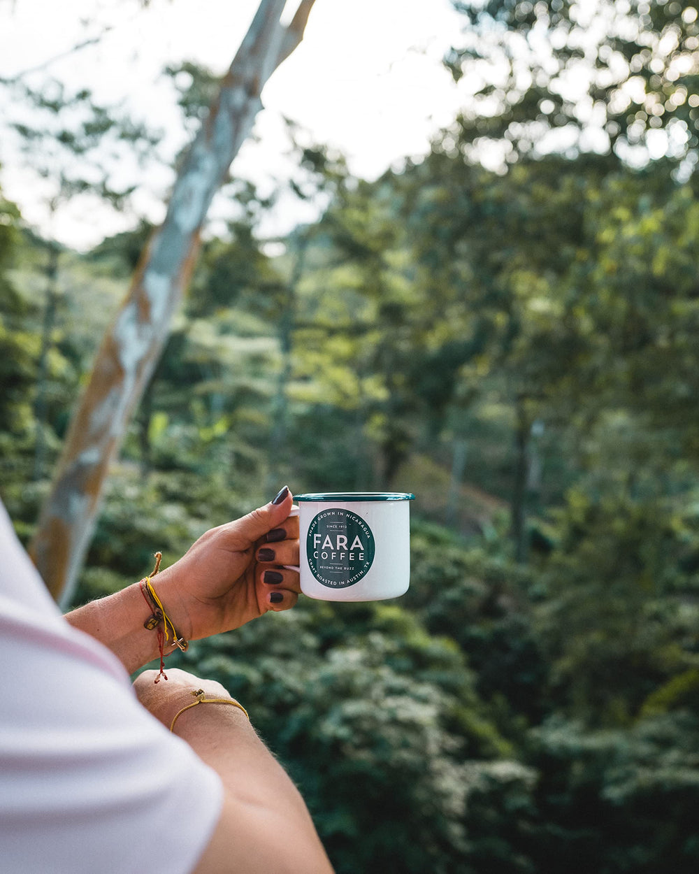 Fara Coffee farm scene in Matagalpa showing origin and sustainable sourcing