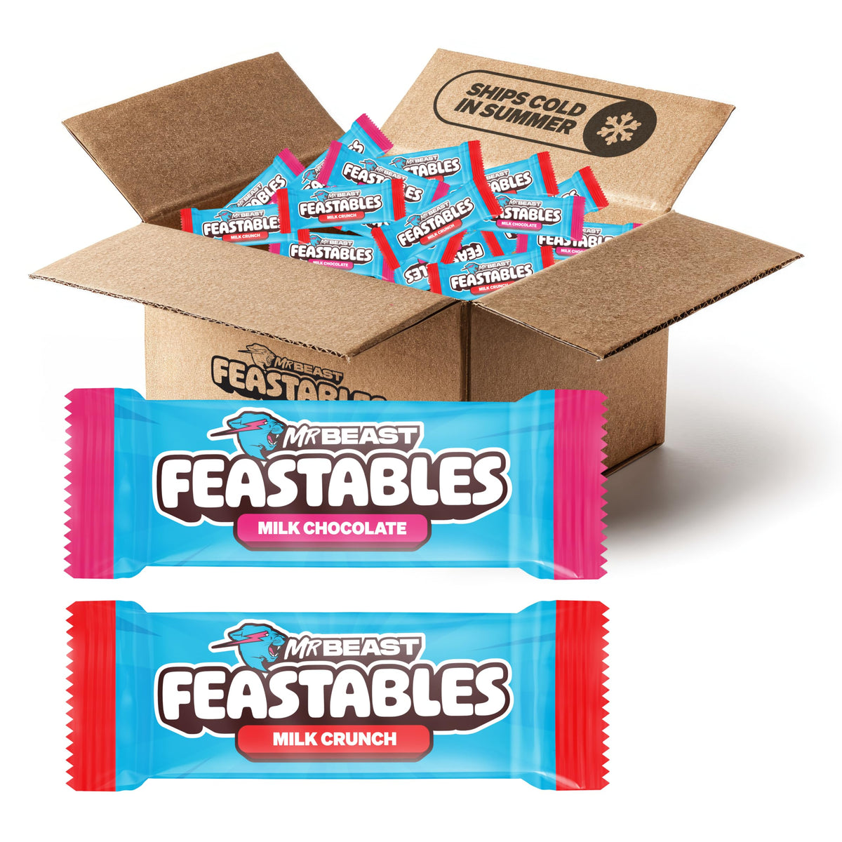 Feastables MrBeast front packaging showing 2 lb box and variety mix