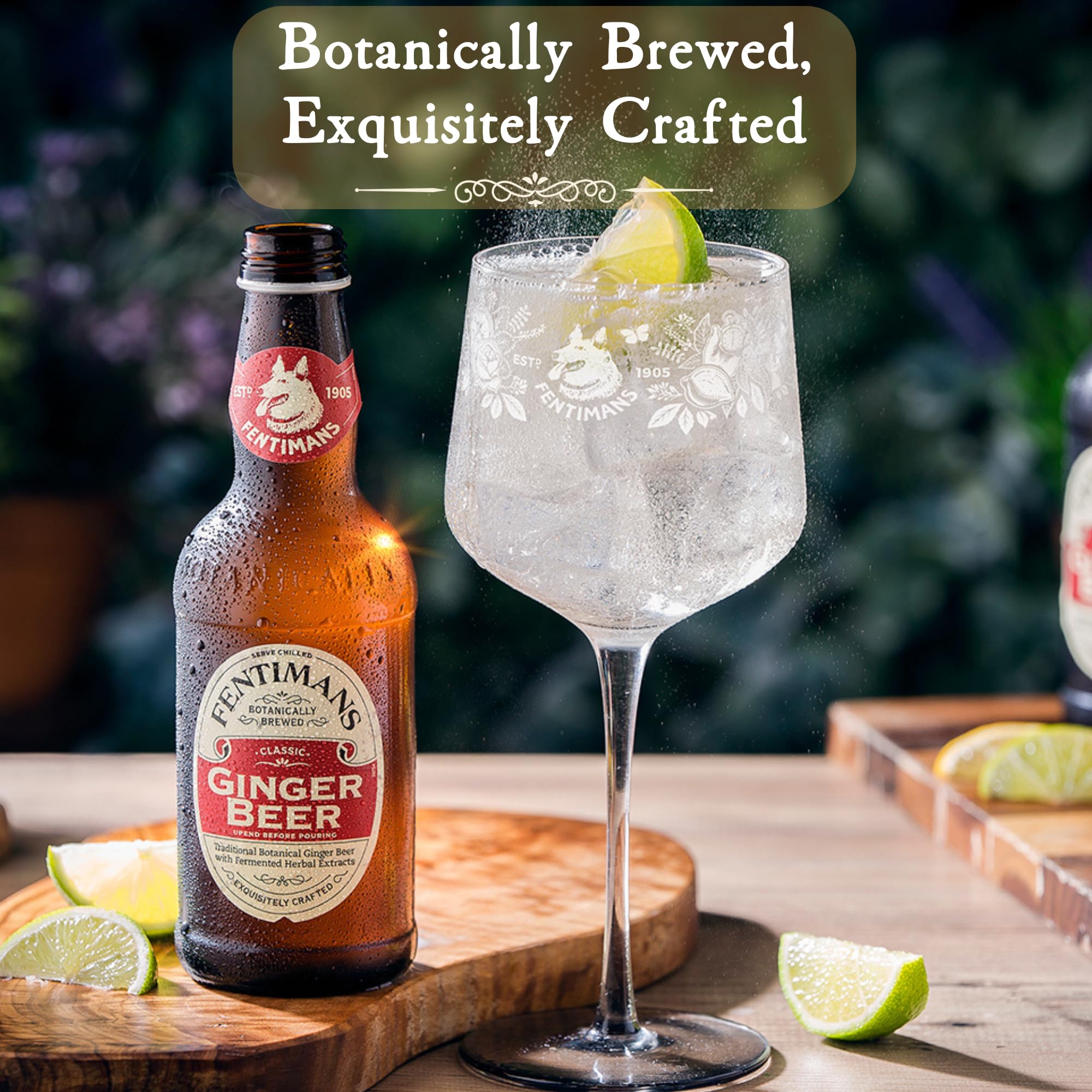 Fentimans pack of 12 bottles stacked for gatherings and reliable supply