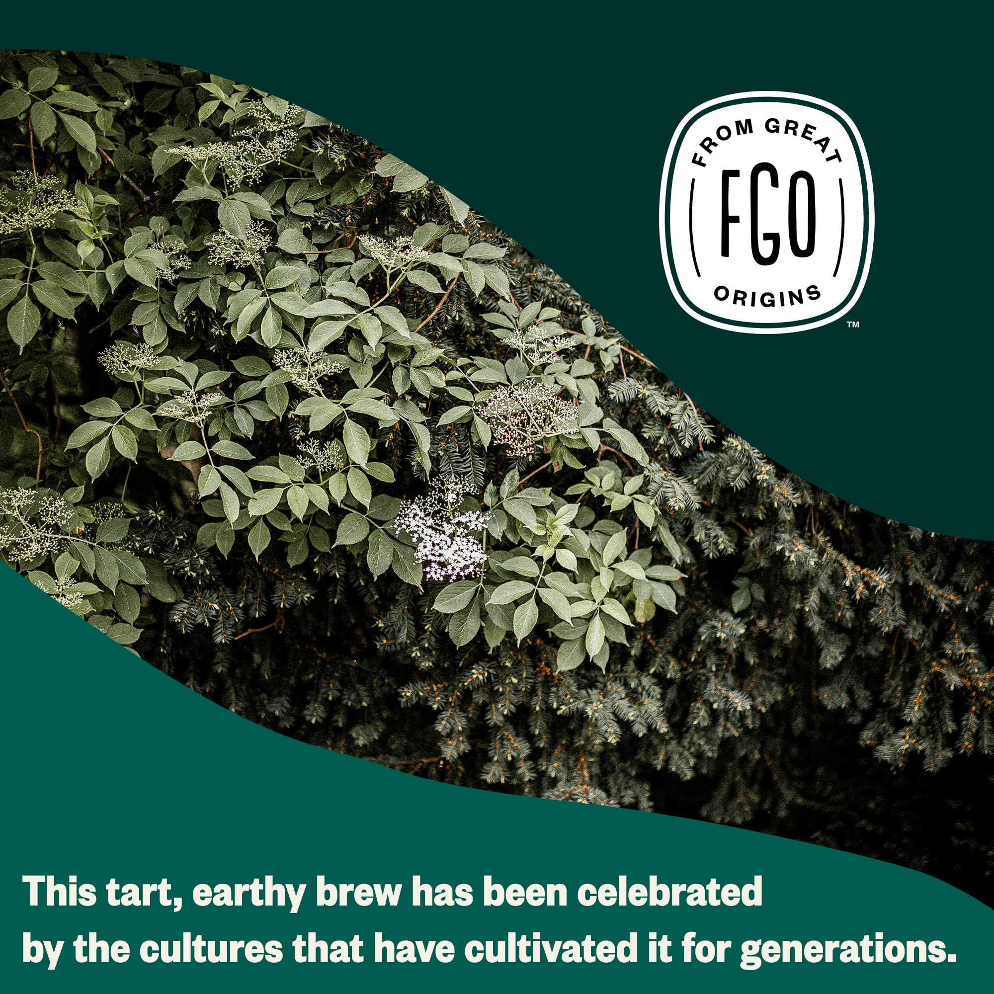 FGO brewed elderberry tea in a cup in a kitchen setting demonstrating rich color