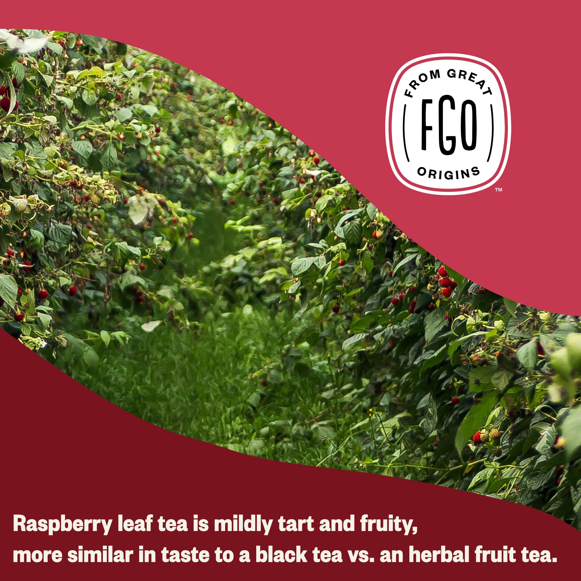 FGO brewed cup of raspberry leaf tea in a kitchen showing easy preparation
