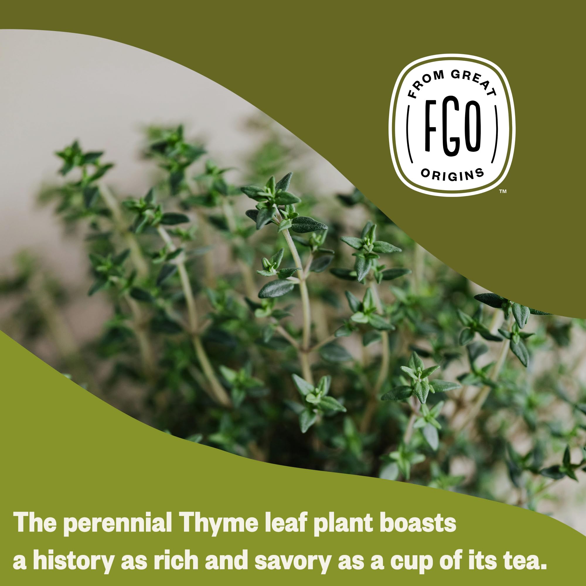 FGO brewed cup of thyme tea side view illustrating clear, herbaceous infusion ready to drink