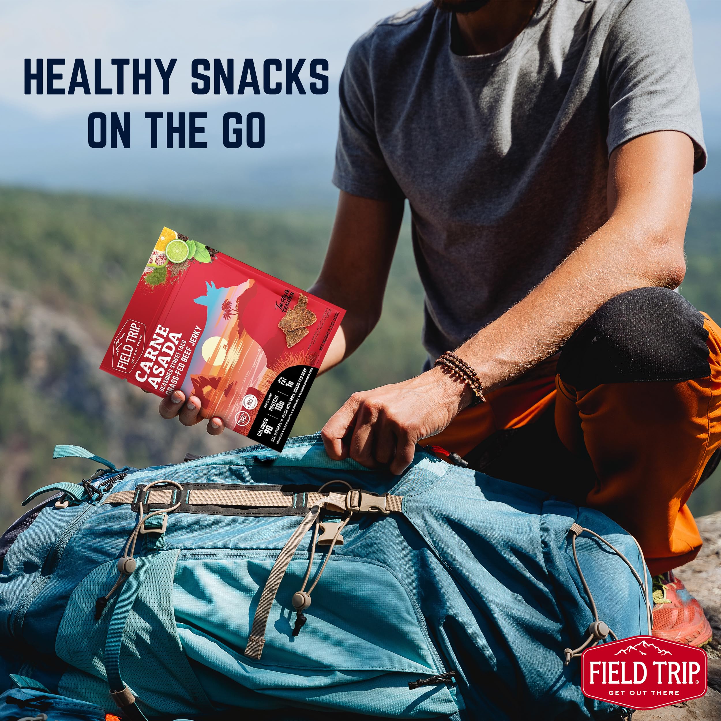 Field Trip pack in backpack illustrating easy travel-friendly snack solution