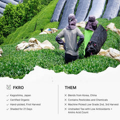FKRO tea master steaming leaves illustrating handcrafted processing benefit