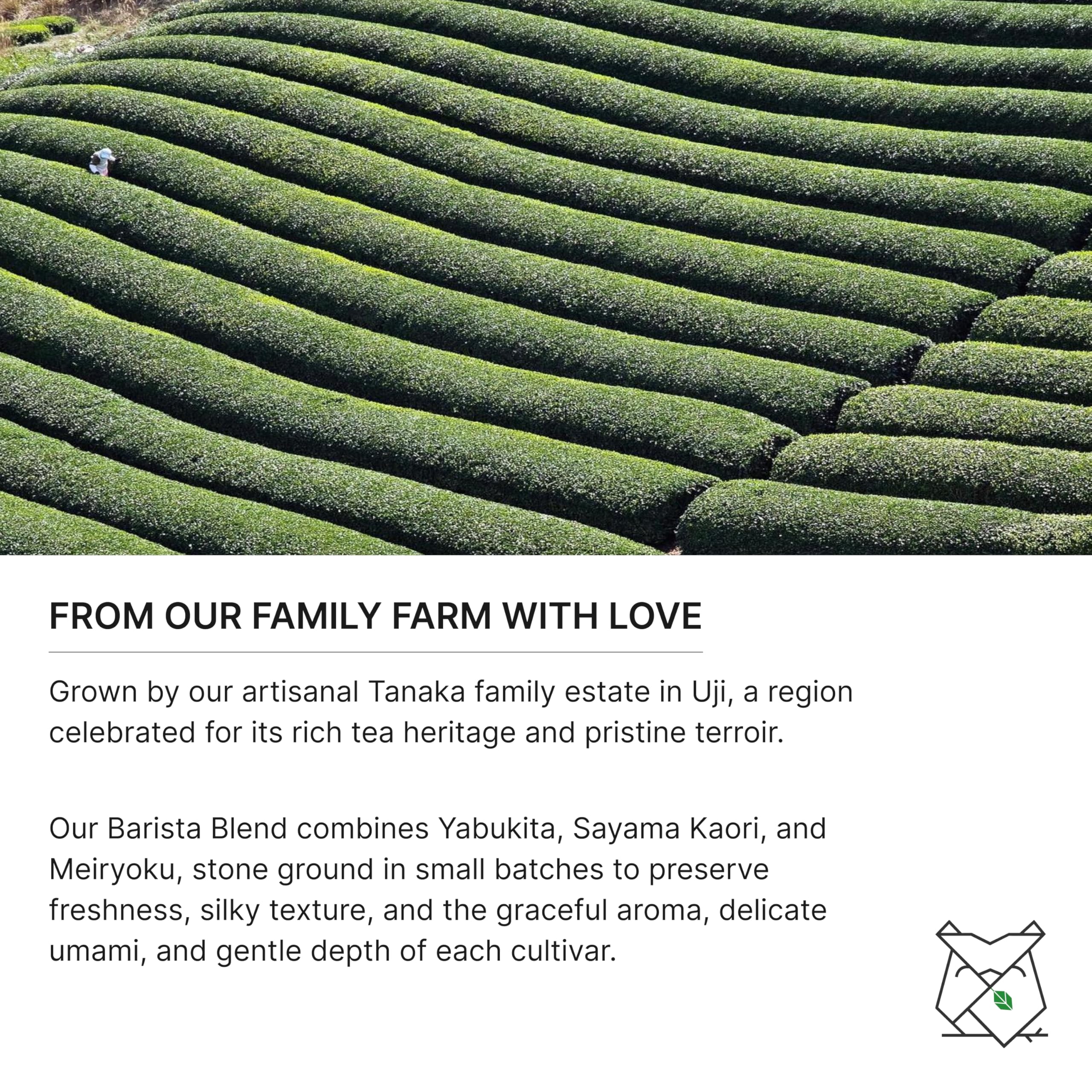 FKRO matcha latte held by hand, creamy foam and consistent blend