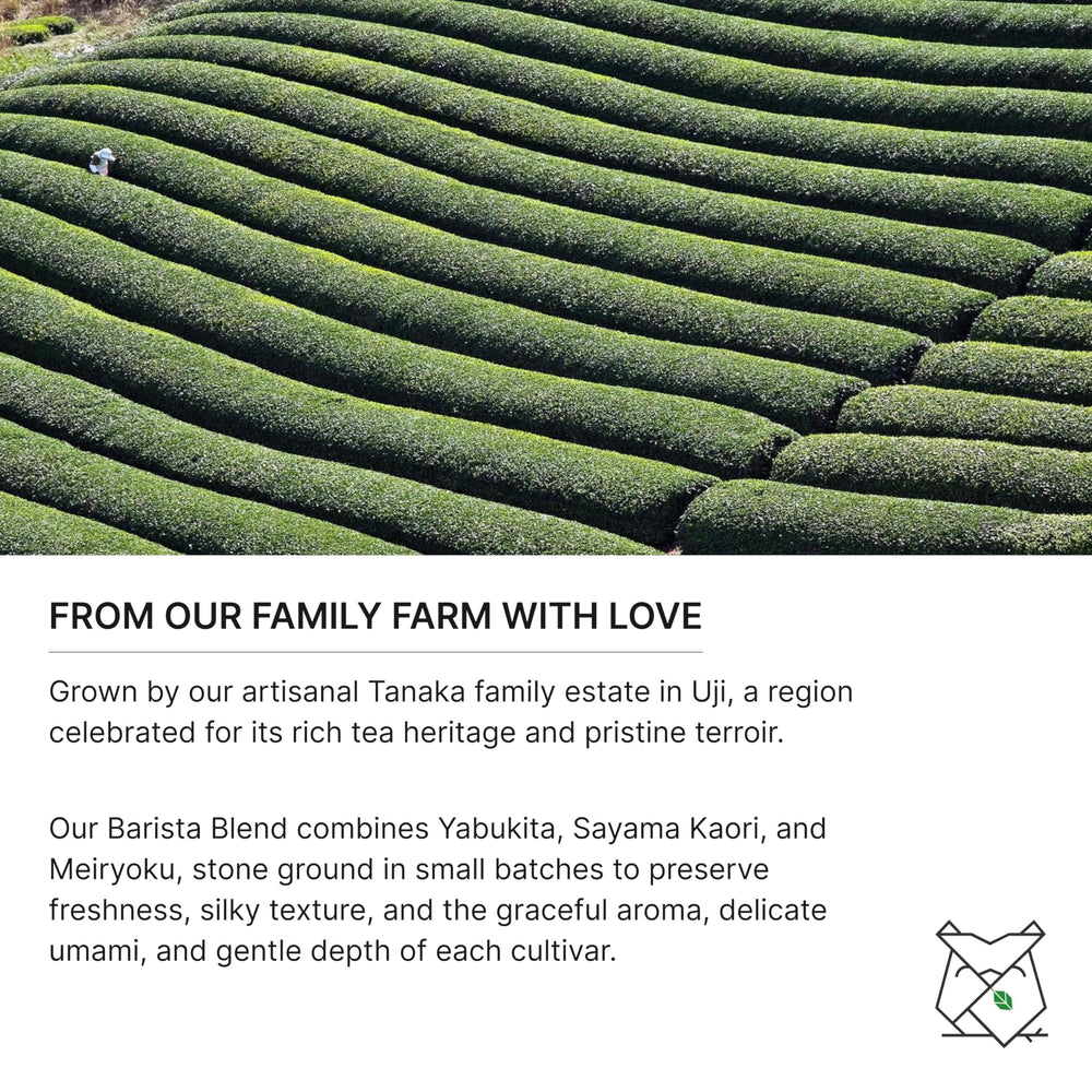 FKRO matcha latte held by hand, creamy foam and consistent blend