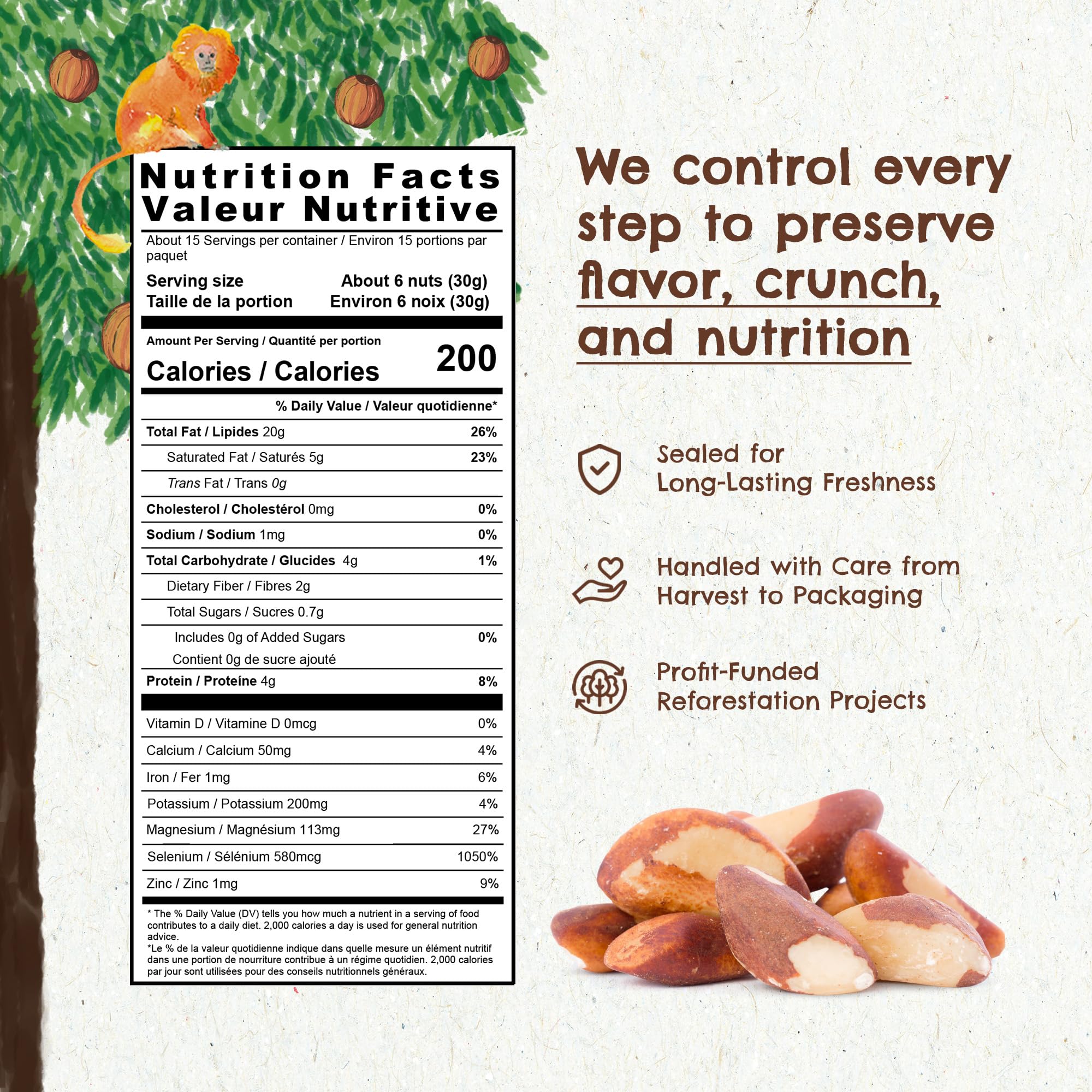 Floresta em Pé bowl of Brazil nuts served for snacking showing convenient portioning