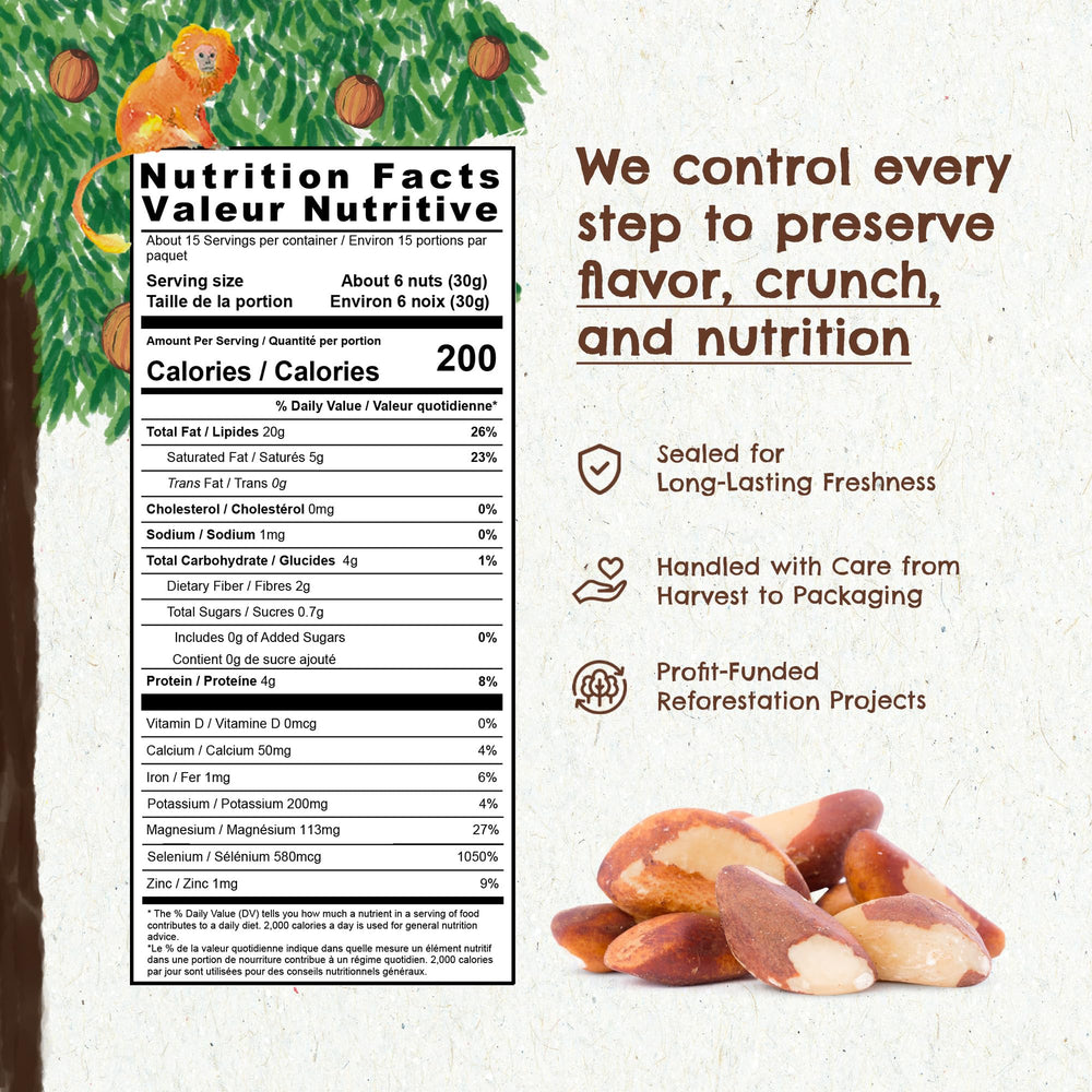 Floresta em Pé bowl of Brazil nuts served for snacking showing convenient portioning