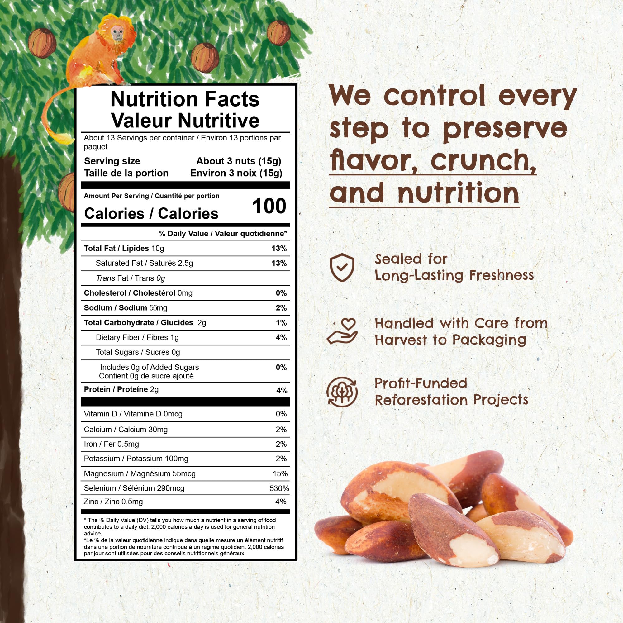Floresta em Pé nut held in hand showing true size and portion guidance