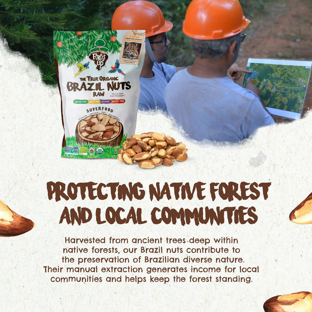 Floresta em Pé nuts blended into nut butter demonstrating culinary versatility