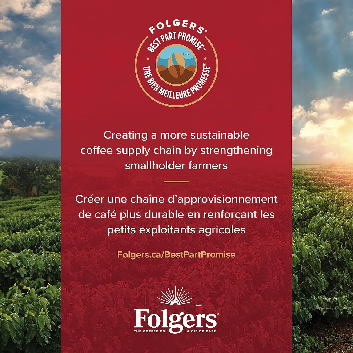 Folgers canister beside common items for scale, demonstrating 816g generous size