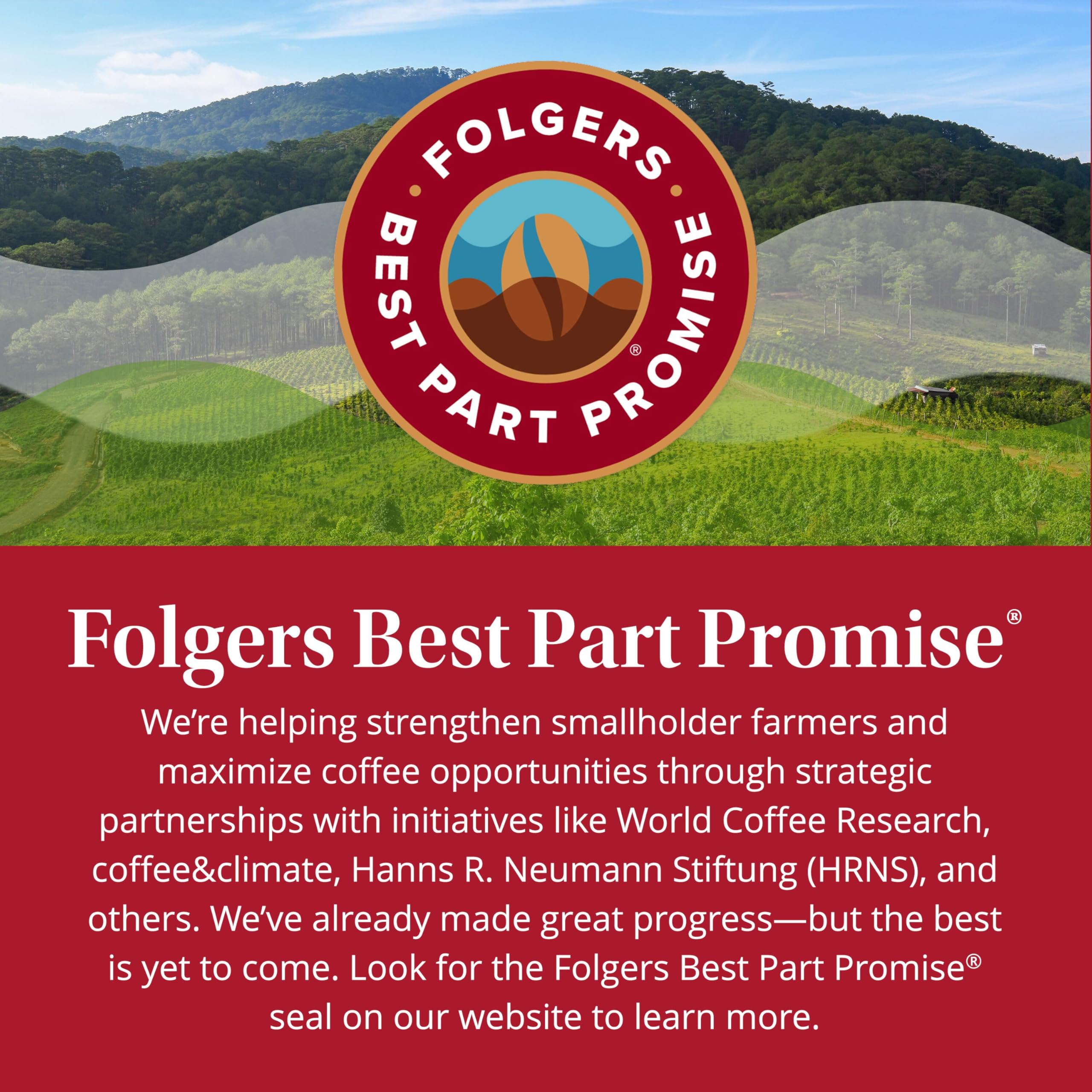Folgers ground coffee texture close-up highlighting uniform grounds for reliable extraction