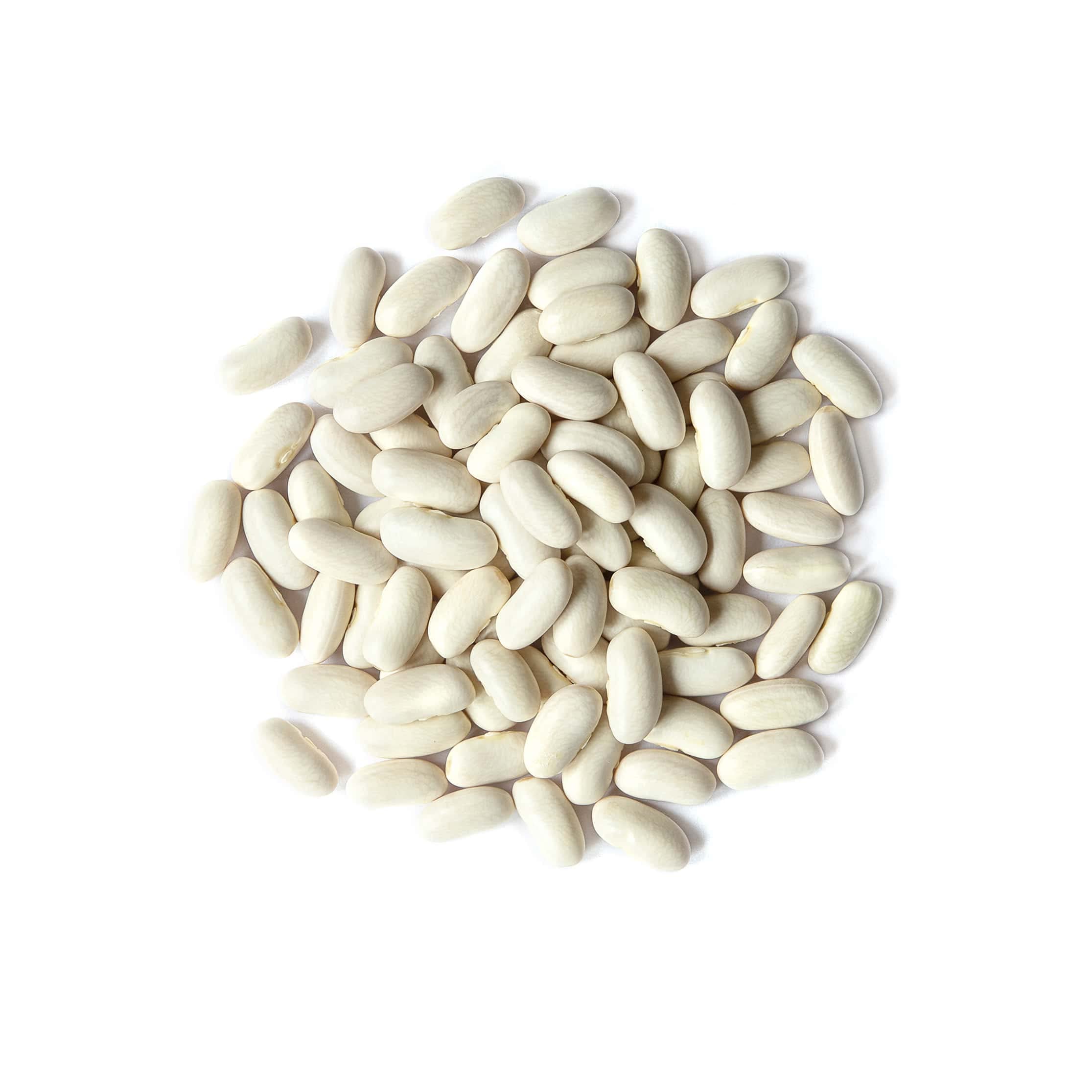 Food to Live close-up of cannellini bean texture highlighting creamy interior