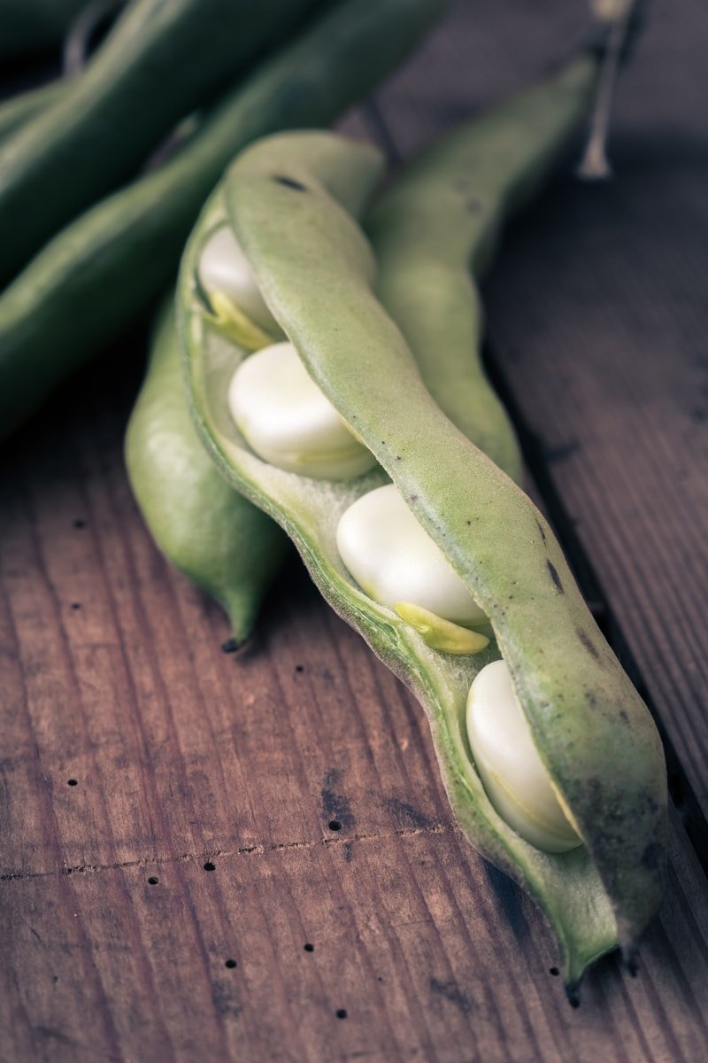 Food to Live beans next to measuring cup showing bulk 3 pound portion