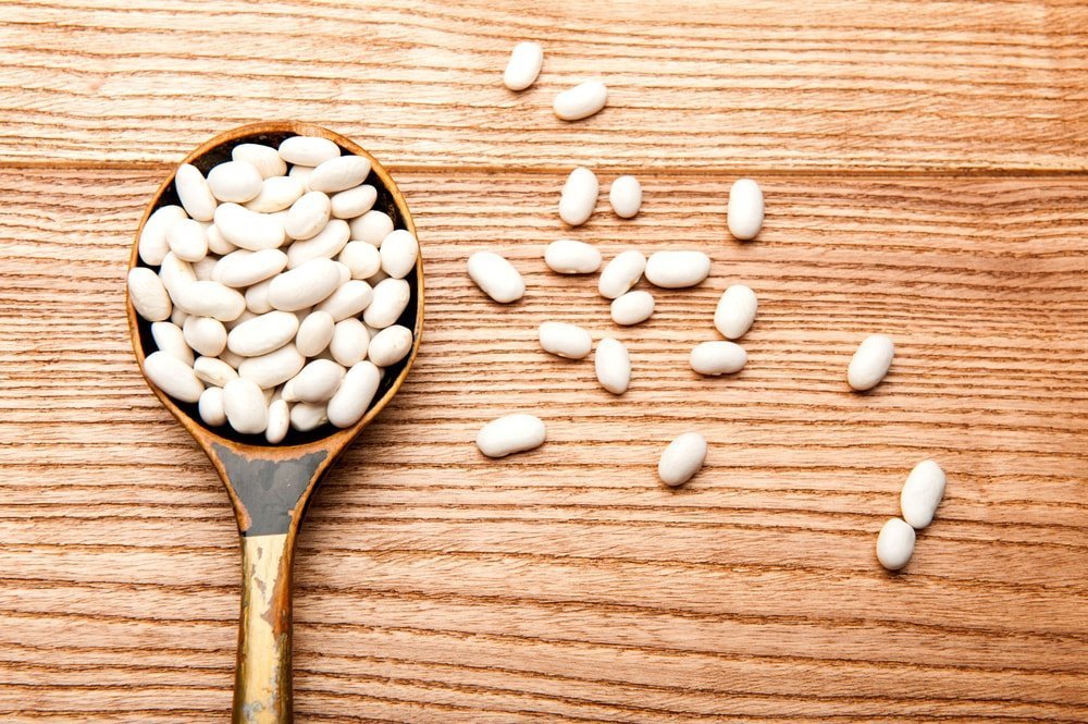 Food to Live sprouted cannellini beans in a bowl for fresh salad use