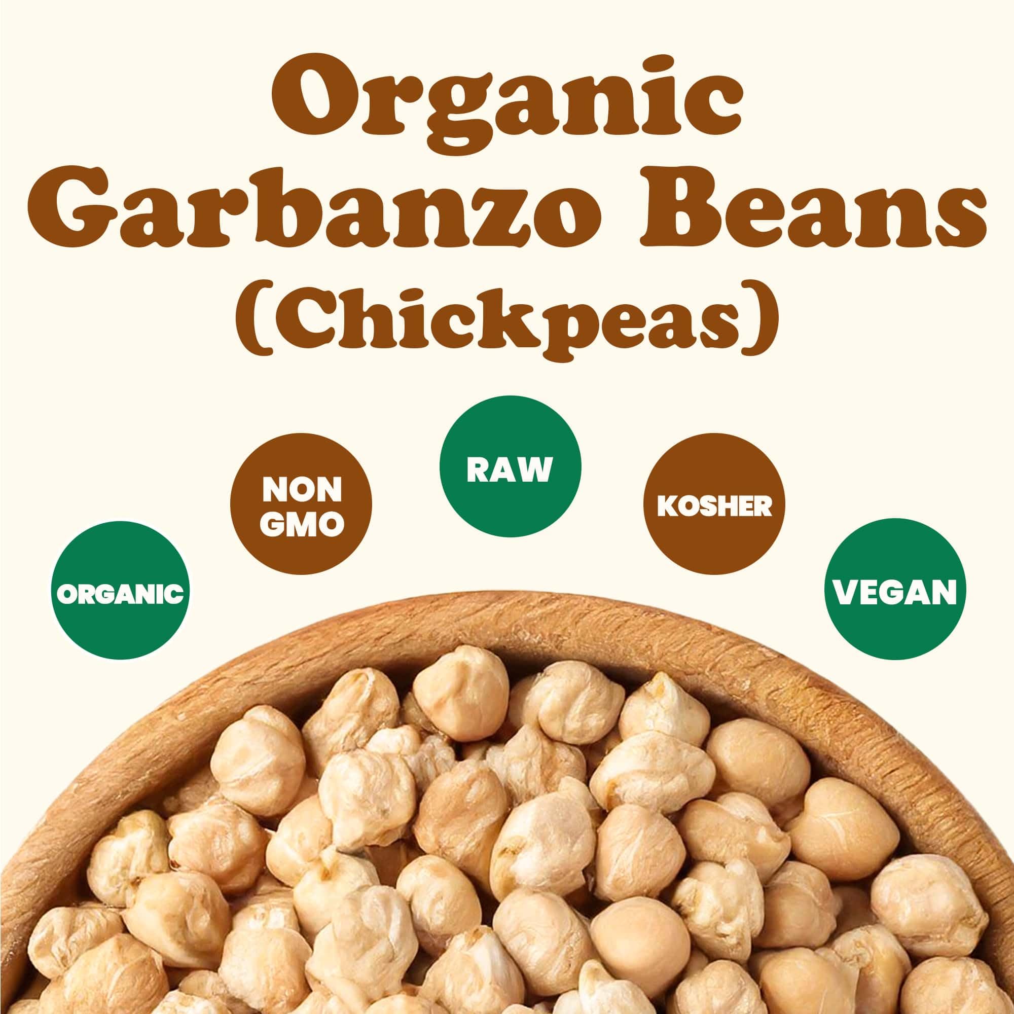 Food to Live garbanzo beans sprouting in jar demonstrating sproutable freshness