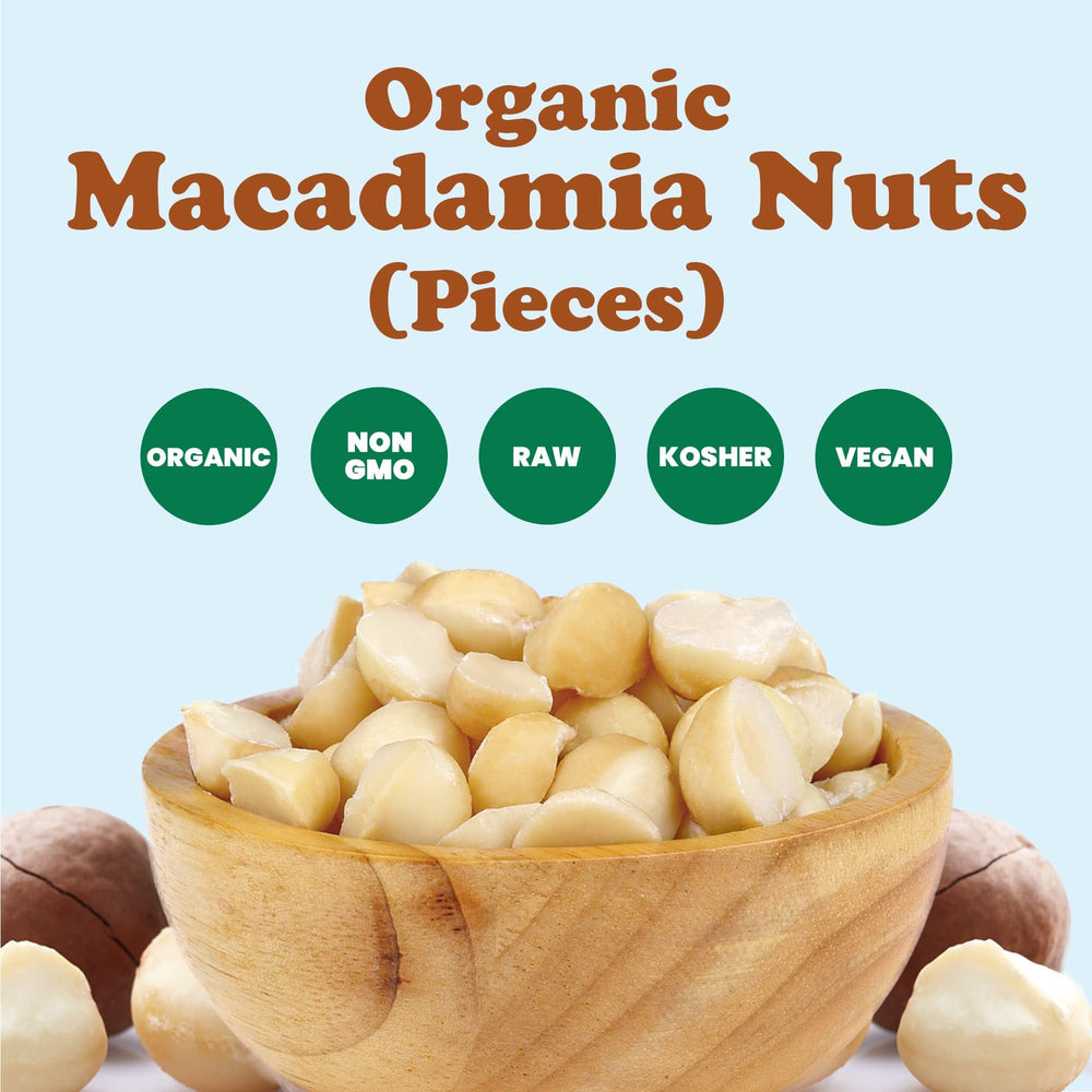 Food to Live macadamia halves on a spoon to show size and portion per serving