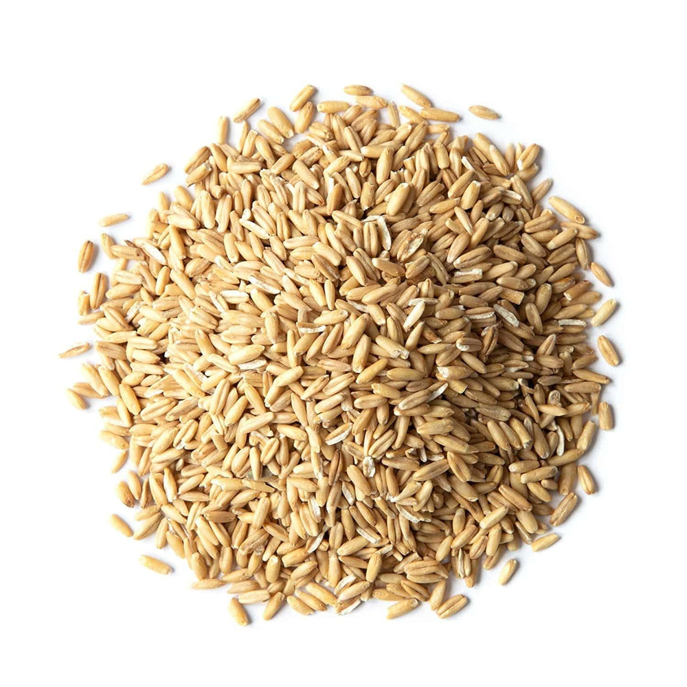 Close-up of Food to Live oat groats kernel texture, showing whole-grain integrity and chewiness