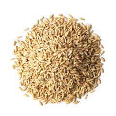Food to Live close-up of raw oat groat kernels showing hearty texture