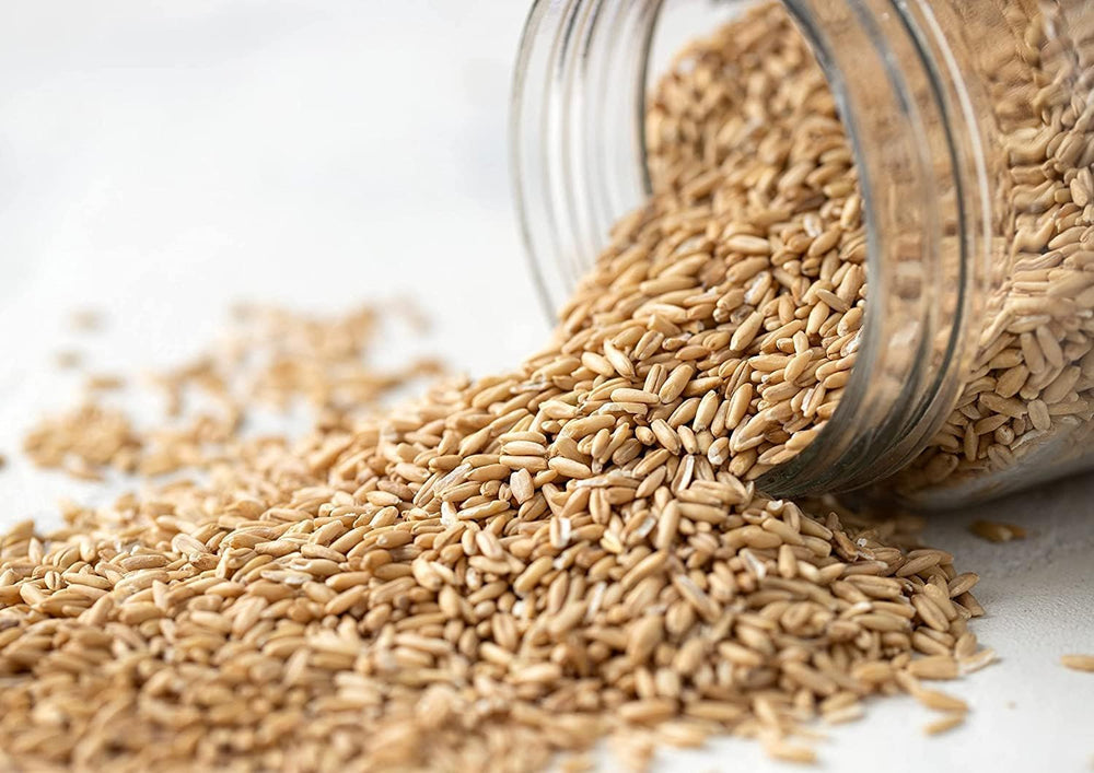 Food to Live oat groats blended into oat milk in a pitcher for dairy-free use