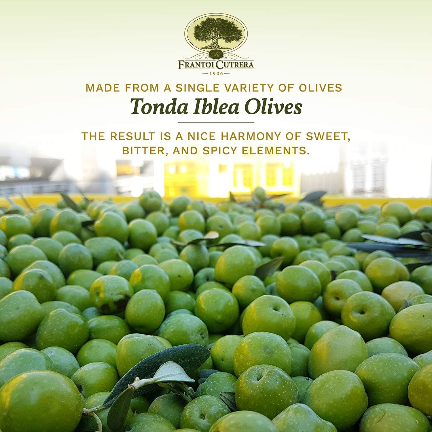 Frantoi Cutrera drizzled on bruschetta to enhance flavor and presentation