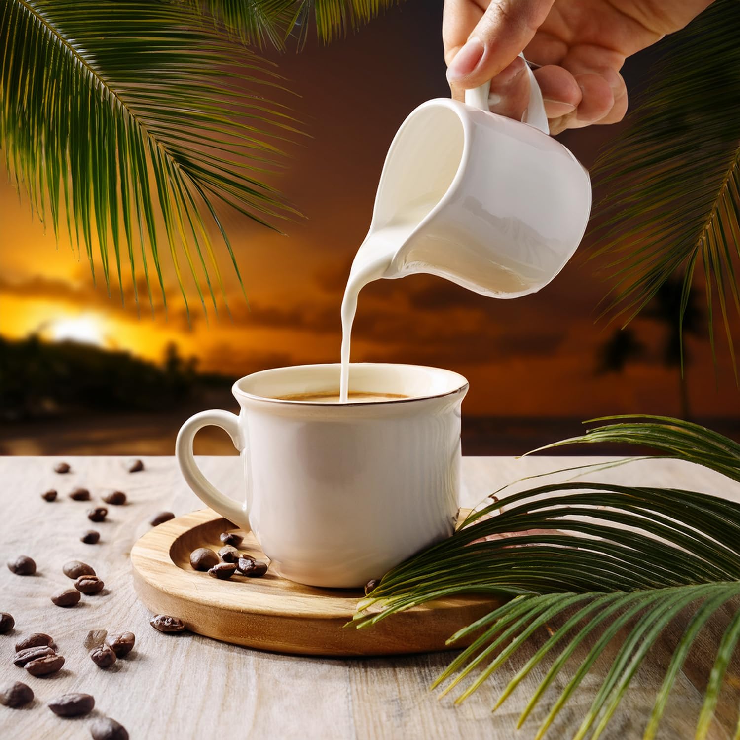 Fresh Roasted Coffee 2 lb bag beside common items showing size and value