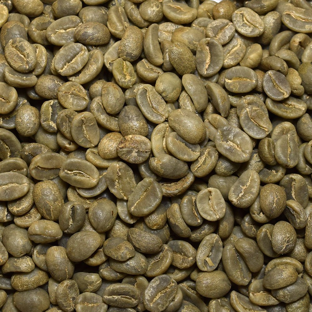 Fresh Roasted Coffee green beans inside a home roaster demonstrating usability