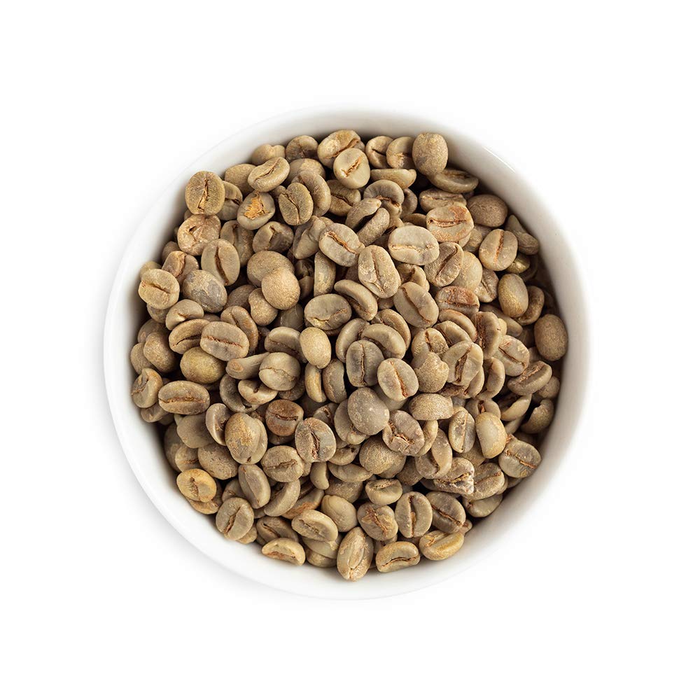 Fresh Roasted Coffee closeup of Brazil green beans highlighting uniform size for even roasts