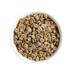 Fresh Roasted Coffee closeup of Brazil green beans highlighting uniform size for even roasts