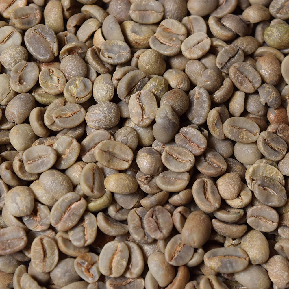 Fresh Roasted Coffee roasting process with beans in a home roaster demonstrating control advantage