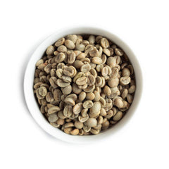 Fresh Roasted Coffee close-up of raw green beans showing bean quality