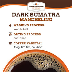 Fresh Roasted Coffee close-up of dark ground texture, highlights rich roast and syrupy mouthfeel benefit