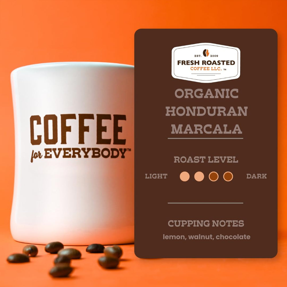Fresh Roasted Coffee pour-over brew with carafe showing clarity and flavor extraction